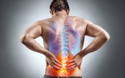 Spinal Health: The impact of preventive Chiropractic